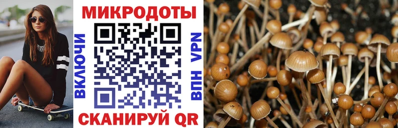 Псилоцибиновые грибы Magic Shrooms  Пионерский 
